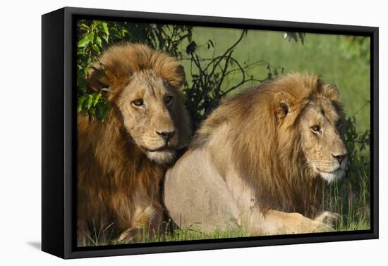 The Duo-Susann Parker-Framed Premier Image Canvas