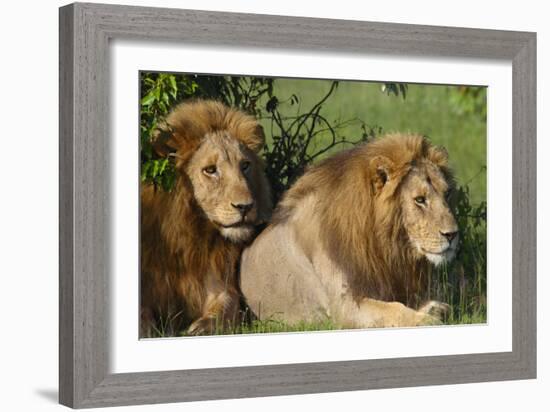 The Duo-Susann Parker-Framed Photographic Print