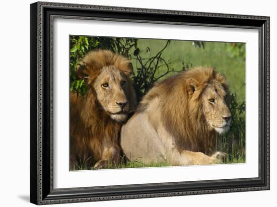 The Duo-Susann Parker-Framed Photographic Print