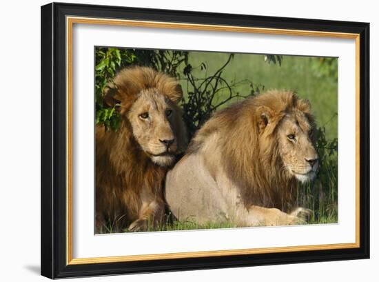 The Duo-Susann Parker-Framed Photographic Print