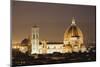 The Duomo and Campanile, UNESCO World Heritage Site, Florence, Tuscany, Italy, Europe-Markus Lange-Mounted Photographic Print