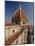 The Duomo (Cathedral), Florence, Unesco World Heritage Site, Tuscany, Italy, Europe-Roy Rainford-Mounted Photographic Print