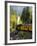 The Durango & Silverton Narrow Gauge Railroad, Colorado, USA-Cindy Miller Hopkins-Framed Photographic Print