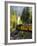 The Durango & Silverton Narrow Gauge Railroad, Colorado, USA-Cindy Miller Hopkins-Framed Photographic Print