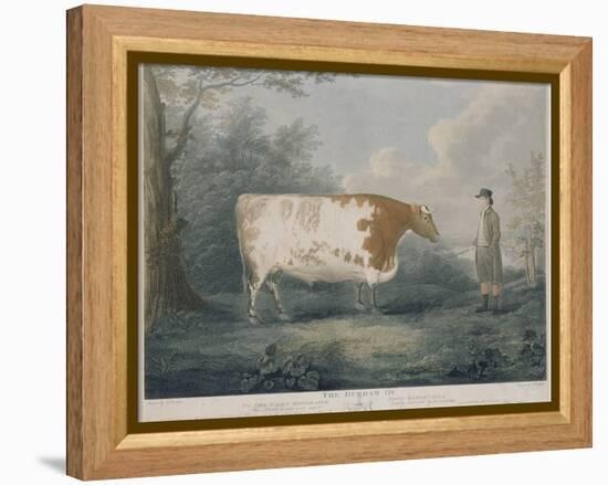 The Durham Ox, Engraved by J. Wessel, 1802-John Boultbee-Framed Premier Image Canvas