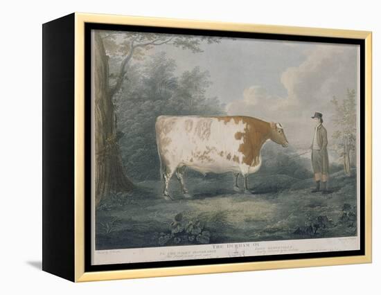 The Durham Ox, Engraved by J. Wessel, 1802-John Boultbee-Framed Premier Image Canvas