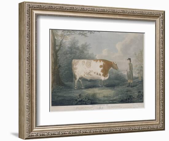 The Durham Ox, Engraved by J. Wessel, 1802-John Boultbee-Framed Giclee Print