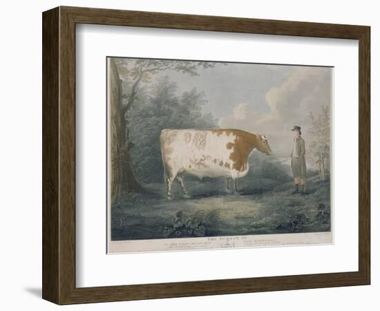 The Durham Ox, Engraved by J. Wessel, 1802-John Boultbee-Framed Giclee Print