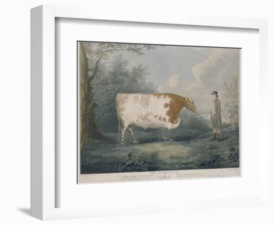 The Durham Ox, Engraved by J. Wessel, 1802-John Boultbee-Framed Giclee Print