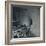 'The dust settles', 1941-Cecil Beaton-Framed Photographic Print