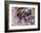 The Dynamism of a Cyclist-Umberto Boccioni-Framed Giclee Print