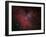 The Eagle Nebula-Stocktrek Images-Framed Photographic Print