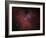 The Eagle Nebula-Stocktrek Images-Framed Photographic Print