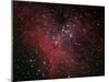 The Eagle Nebula-Stocktrek Images-Mounted Photographic Print