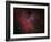 The Eagle Nebula-Stocktrek Images-Framed Photographic Print