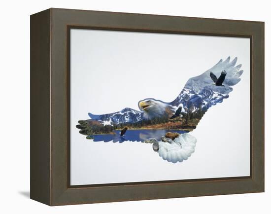 The Eagle-John Van Straalen-Framed Premier Image Canvas