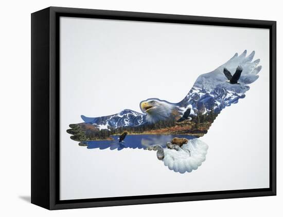 The Eagle-John Van Straalen-Framed Premier Image Canvas