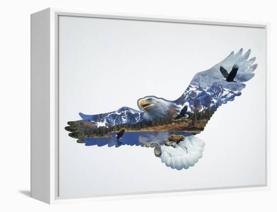 The Eagle-John Van Straalen-Framed Premier Image Canvas