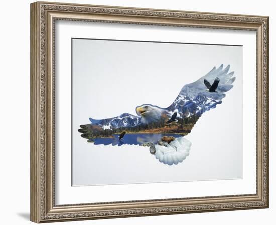 The Eagle-John Van Straalen-Framed Giclee Print