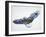 The Eagle-John Van Straalen-Framed Giclee Print