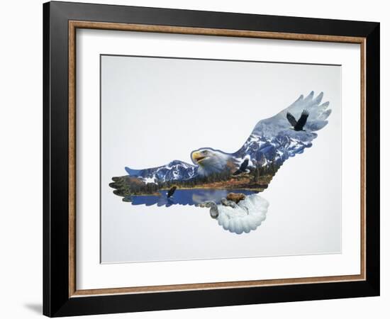 The Eagle-John Van Straalen-Framed Giclee Print
