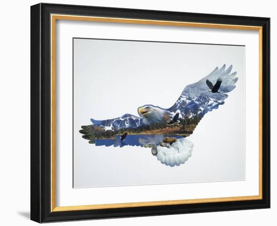 The Eagle-John Van Straalen-Framed Giclee Print