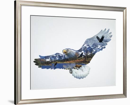 The Eagle-John Van Straalen-Framed Giclee Print