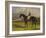 The Earl of Chesterfield's Filly 'Industry', with W. Scott Up, in a Landscape-John Frederick Herring I-Framed Giclee Print