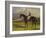 The Earl of Chesterfield's Filly 'Industry', with W. Scott Up, in a Landscape-John Frederick Herring I-Framed Giclee Print