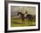 The Earl of Chesterfield's Filly 'Industry', with W. Scott Up, in a Landscape-John Frederick Herring I-Framed Giclee Print