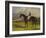 The Earl of Chesterfield's Filly 'Industry', with W. Scott Up, in a Landscape-John Frederick Herring I-Framed Giclee Print