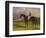 The Earl of Chesterfield's Filly 'Industry', with W. Scott Up, in a Landscape-John Frederick Herring I-Framed Giclee Print