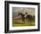 The Earl of Chesterfield's Filly 'Industry', with W. Scott Up, in a Landscape-John Frederick Herring I-Framed Giclee Print