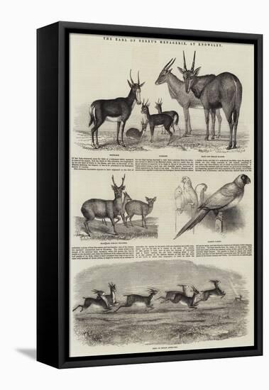 The Earl of Derby's Menagerie, at Knowsley-John Wykeham Archer-Framed Premier Image Canvas