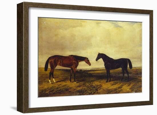 The Earl of Granard's Bright Bay Filly and Dark Bay Stallion, 1885-William Snr. Luker-Framed Giclee Print