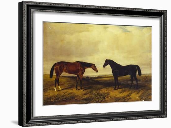 The Earl of Granard's Bright Bay Filly and Dark Bay Stallion, 1885-William Snr. Luker-Framed Giclee Print