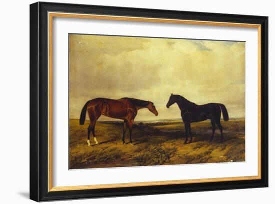 The Earl of Granard's Bright Bay Filly and Dark Bay Stallion, 1885-William Snr. Luker-Framed Giclee Print