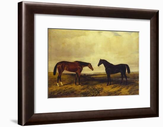 The Earl of Granards's Bright Bay Filly and Dark Bay Stallion Standing in an Extensive Landscape-William Luker-Framed Giclee Print