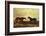 The Earl of Granards's Bright Bay Filly and Dark Bay Stallion Standing in an Extensive Landscape-William Luker-Framed Giclee Print