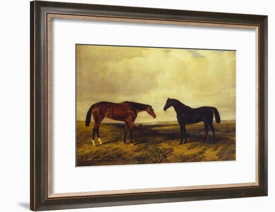 The Earl of Granards's Bright Bay Filly and Dark Bay Stallion Standing in an Extensive Landscape-William Luker-Framed Giclee Print