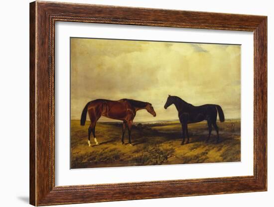 The Earl of Granards's Bright Bay Filly and Dark Bay Stallion Standing in an Extensive Landscape-William Luker-Framed Giclee Print