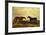 The Earl of Granards's Bright Bay Filly and Dark Bay Stallion Standing in an Extensive Landscape-William Luker-Framed Giclee Print