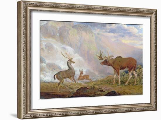 The Earl of Orford's Elk from Norway. Antelope from Africa and Stag from Prince's Island-George Garrard-Framed Giclee Print