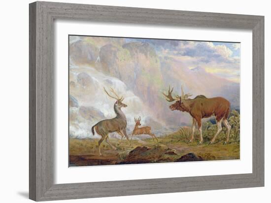 The Earl of Orford's Elk from Norway. Antelope from Africa and Stag from Prince's Island-George Garrard-Framed Giclee Print