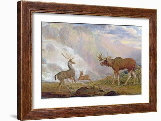 The Earl of Orford's Elk from Norway. Antelope from Africa and Stag from Prince's Island-George Garrard-Framed Giclee Print