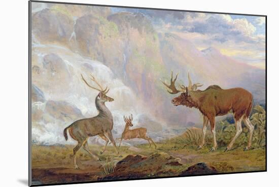 The Earl of Orford's Elk from Norway. Antelope from Africa and Stag from Prince's Island-George Garrard-Mounted Giclee Print