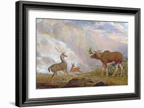 The Earl of Orford's Elk from Norway. Antelope from Africa and Stag from Prince's Island-George Garrard-Framed Giclee Print