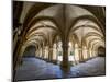 The early 12 century cloister in the old Cathedral (Se Velha).-Julie Eggers-Mounted Photographic Print