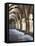 The early 12 century cloister in the old Cathedral (Se Velha).-Julie Eggers-Framed Premier Image Canvas