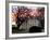 The Early Morning Sunrise Warms up the Winter Sky Behind the White House January 10, 2002-Ron Edmonds-Framed Photographic Print